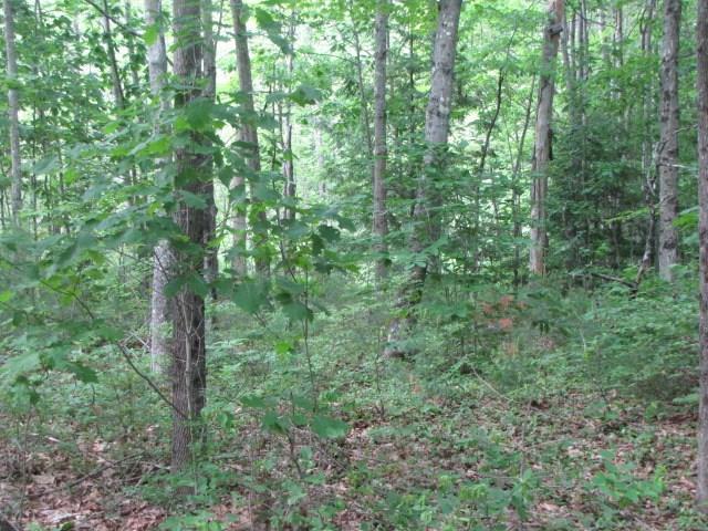4 Town Farm Road Monmouth, ME 04259 - Photo 29 of 33 Photo