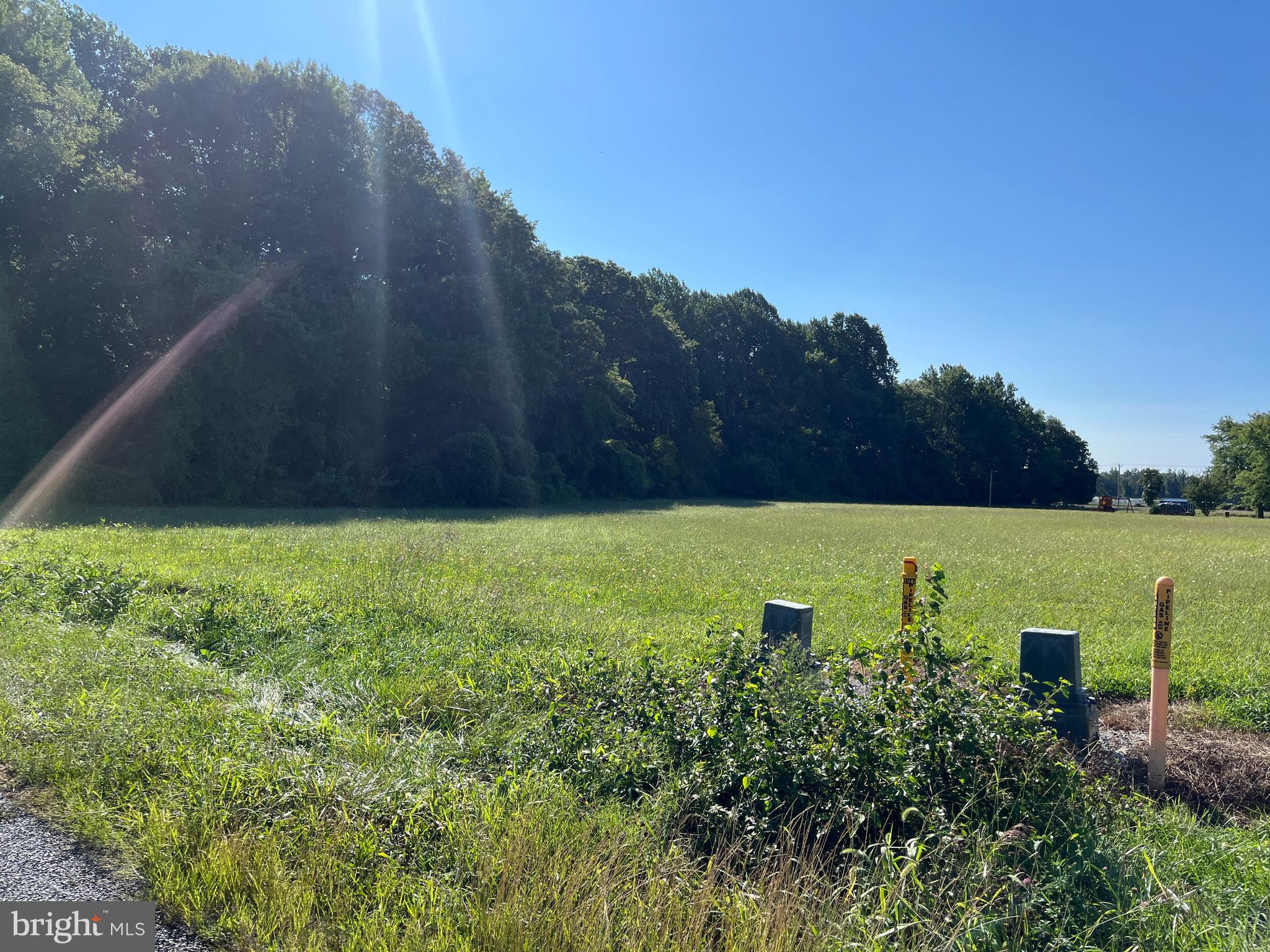 Blairs Pond Road Houston, DE 19954 - Photo 2 of 3