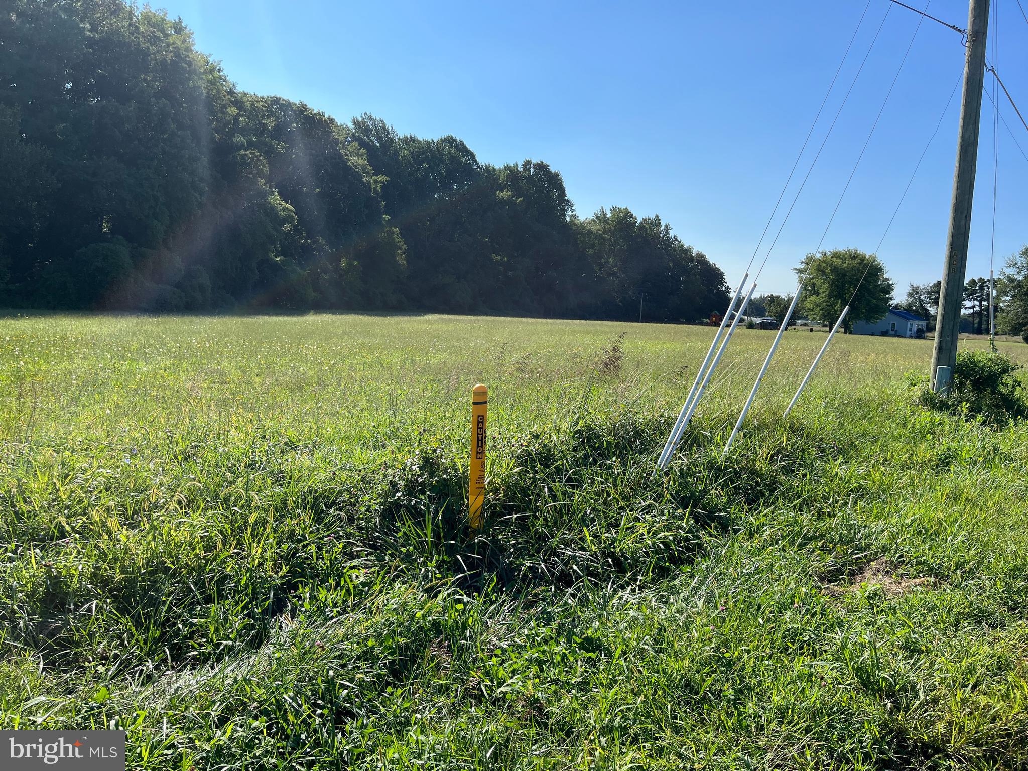 Blairs Pond Road Houston, DE 19954 - Photo 3 of 3