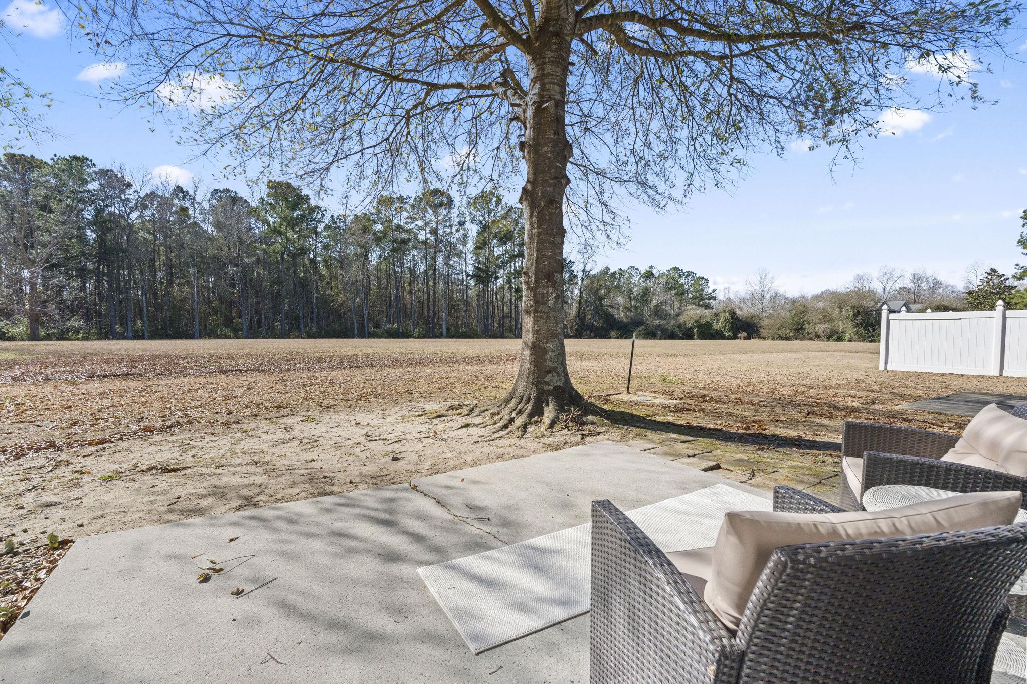 135 Country Manor Drive, Unit B Conway, SC 29526 - Photo 33 of 40 View of patio