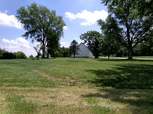 a view of a grassy field with trees