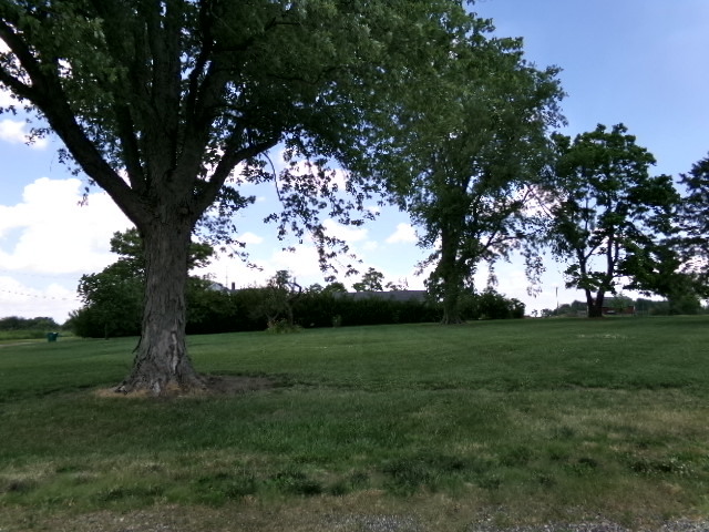 2515 Church Street Clinton, IL 61727 - Photo 3 of 5 a view of a trees