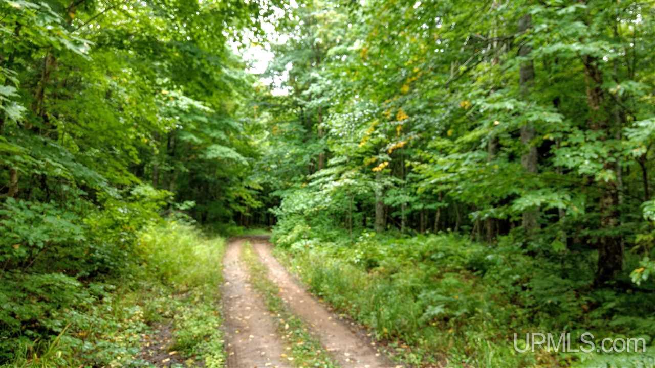 Tbd Tbd Big Bay Road Skanee, MI 49962 - Photo 47 of 50