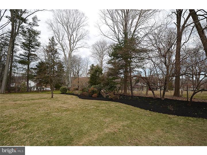 251 Chamounix Road St. Davids, PA 19087 - Photo 3 of 25 Gallery Image 3