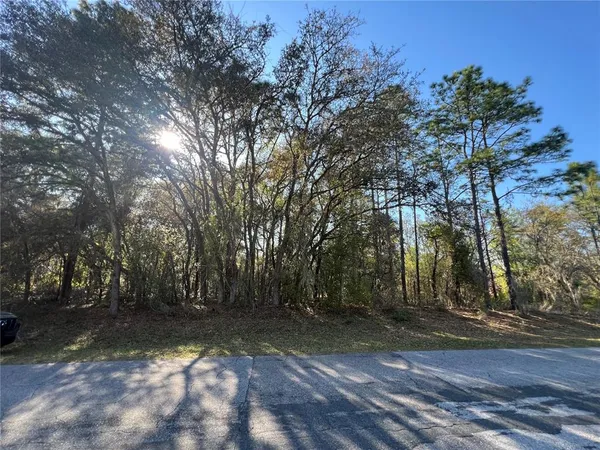 $46,000 | 3968 North Indianhead Road, Hernando, FL 34442