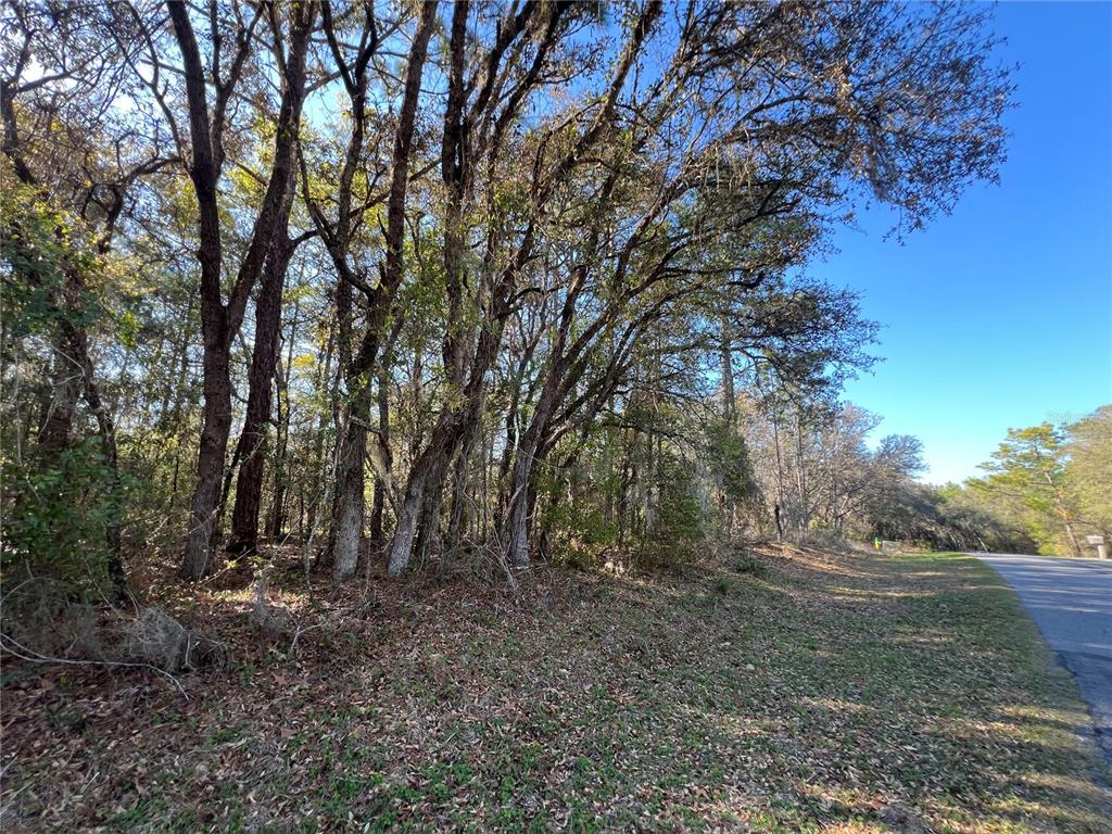 3968 North Indianhead Road Hernando, FL 34442 - Photo 2 of 8