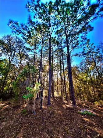 $46,000 | 3968 North Indianhead Road, Hernando, FL 34442