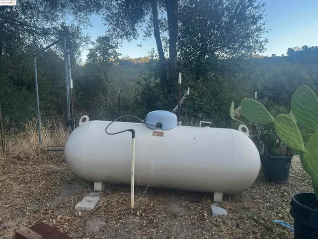 a view of a backyard with plants