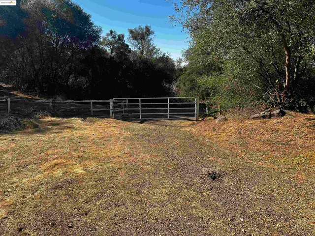 a view of a yard with wooden fence