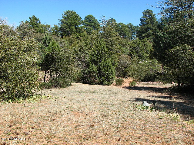 1003 South Mud Springs Road Payson, AZ 85541 - Photo 10 of 16 Lot