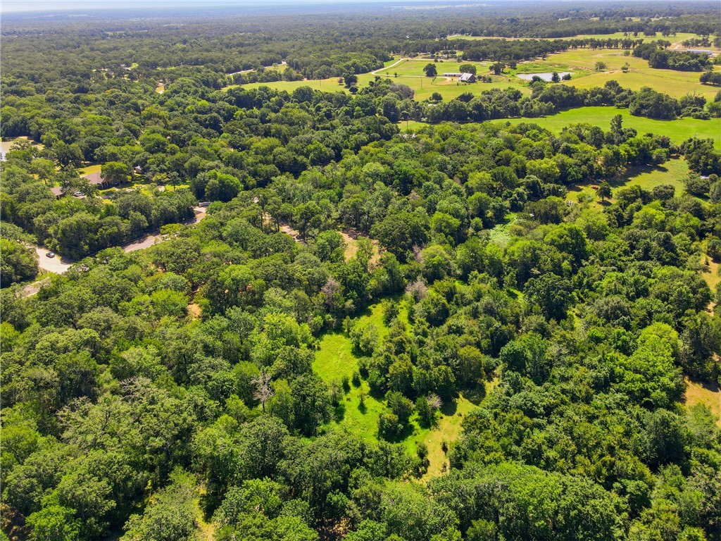 Tbd Grassbur Road Bryan, TX 77808 - Photo 16 of 18
