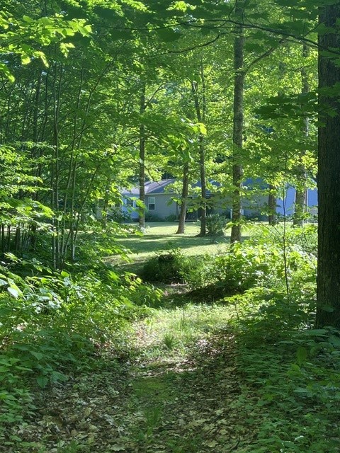 137 Creamery Road Blenheim, NY 12131 - Photo 23 of 27 Gallery Image 23