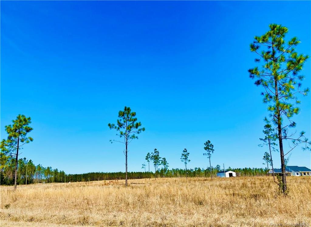 0 Camp Edgewood Road Dequincy, LA 70633 - Photo 2 of 10