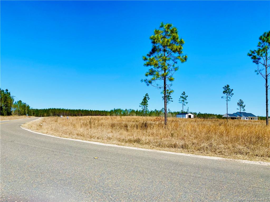 0 Camp Edgewood Road Dequincy, LA 70633 - Photo 3 of 10