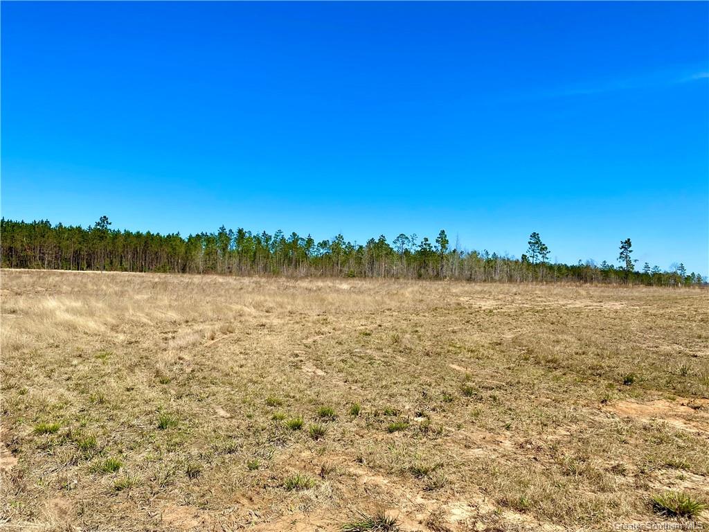 0 Camp Edgewood Road Dequincy, LA 70633 - Photo 6 of 10