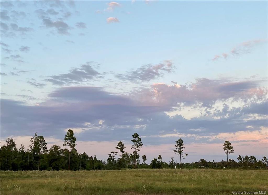 0 Camp Edgewood Road Dequincy, LA 70633 - Photo 7 of 10