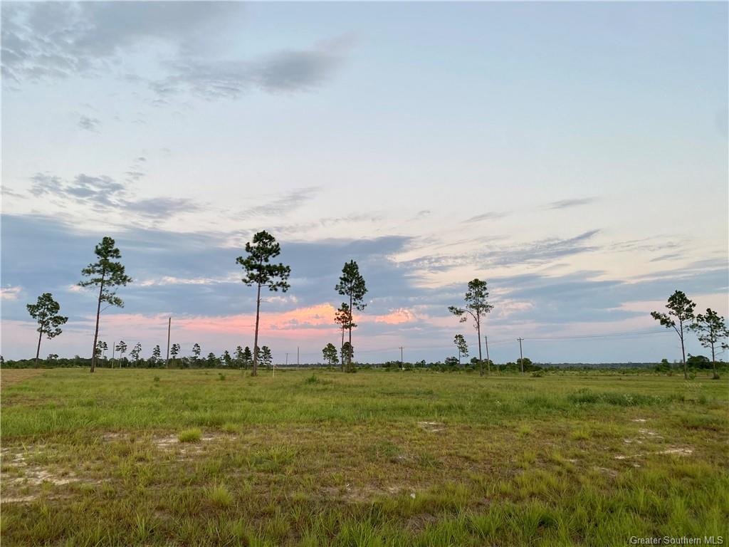 0 Camp Edgewood Road Dequincy, LA 70633 - Photo 8 of 10