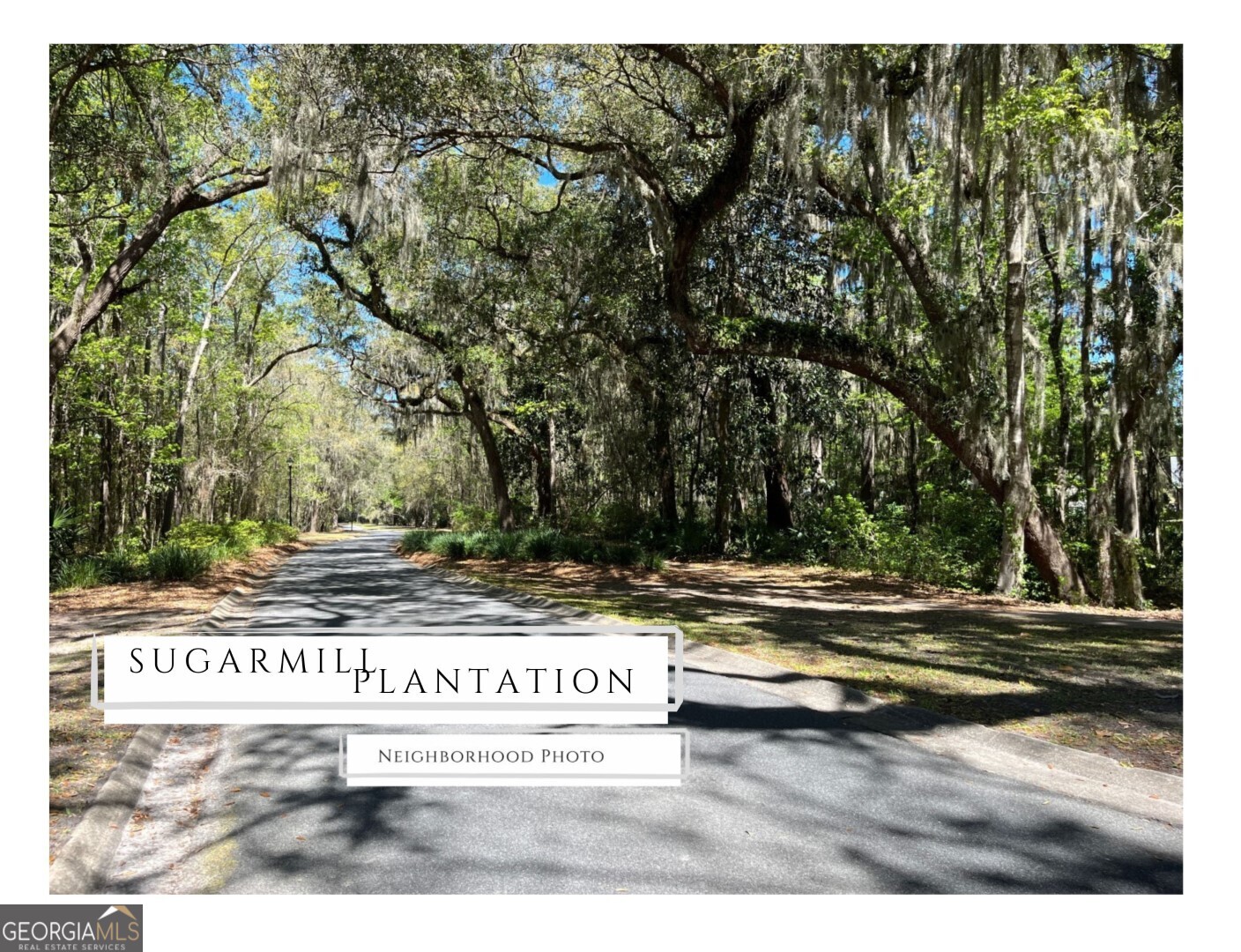 411 Madison Avenue St. Marys, GA 31558 - Photo 31 of 41 a view of park with trees