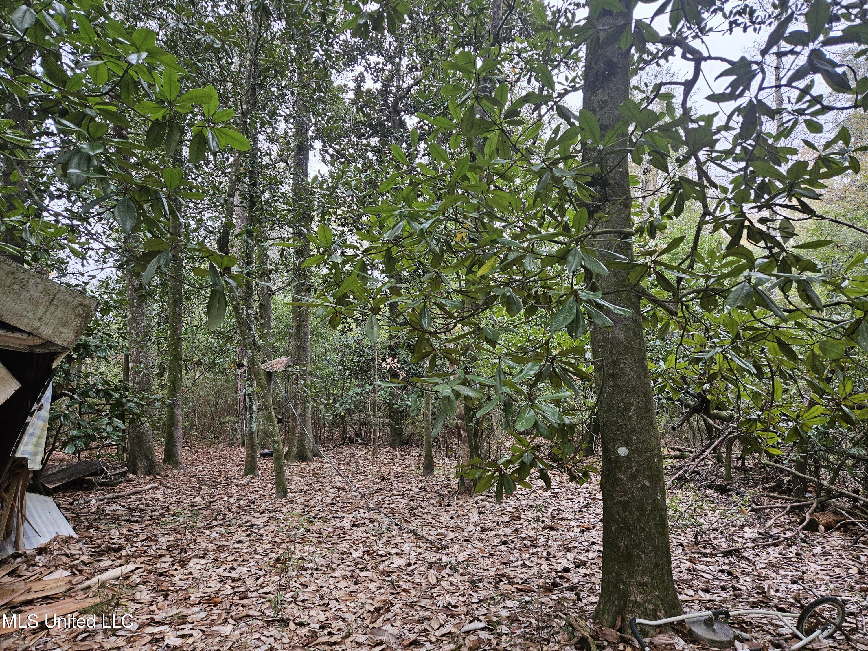 0 River Road Biloxi, MS 39532 - Photo 5 of 10 20241127_111655