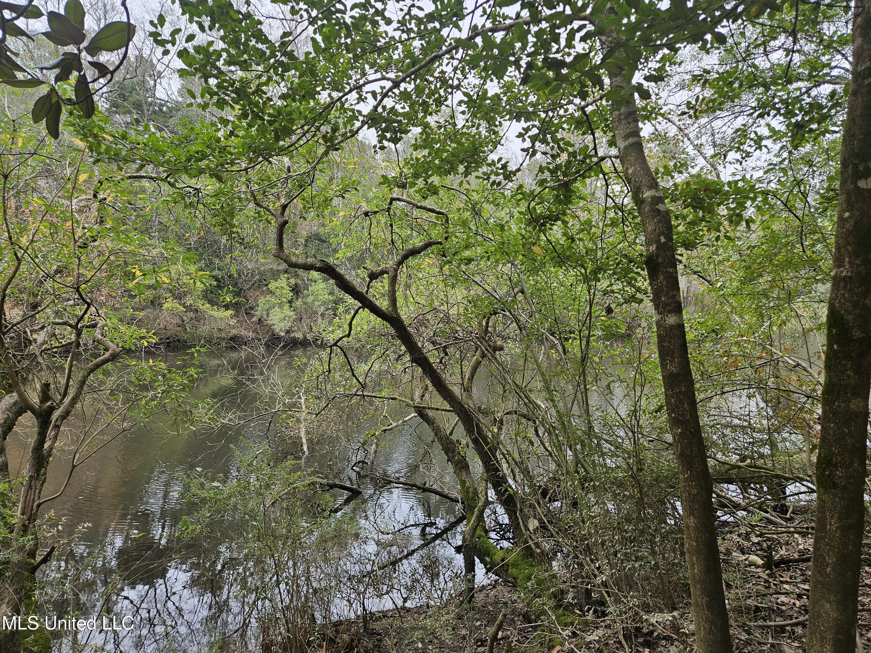 0 River Road Biloxi, MS 39532 - Photo 7 of 10 20241127_111838
