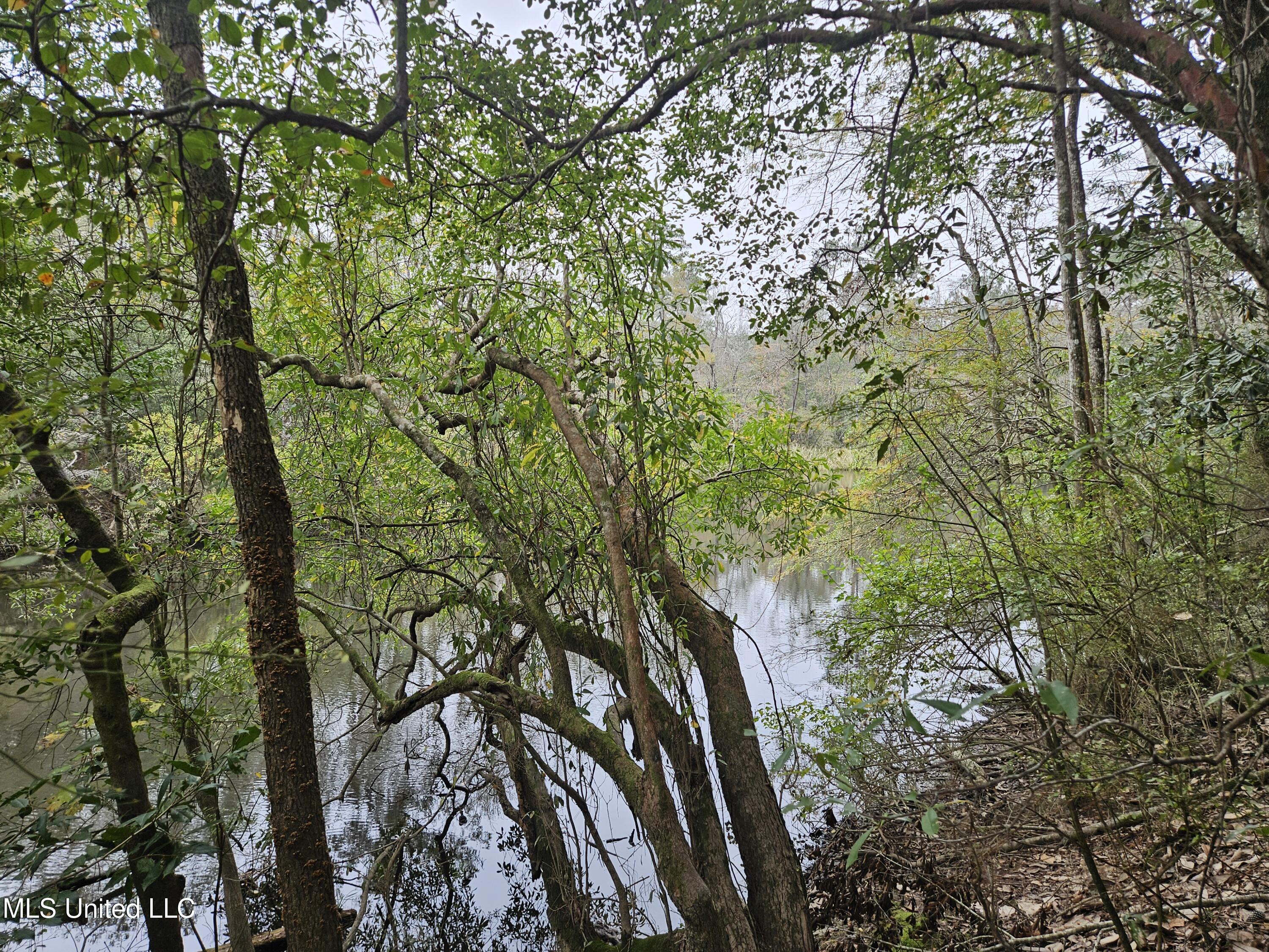 0 River Road Biloxi, MS 39532 - Photo 8 of 10 20241127_111919