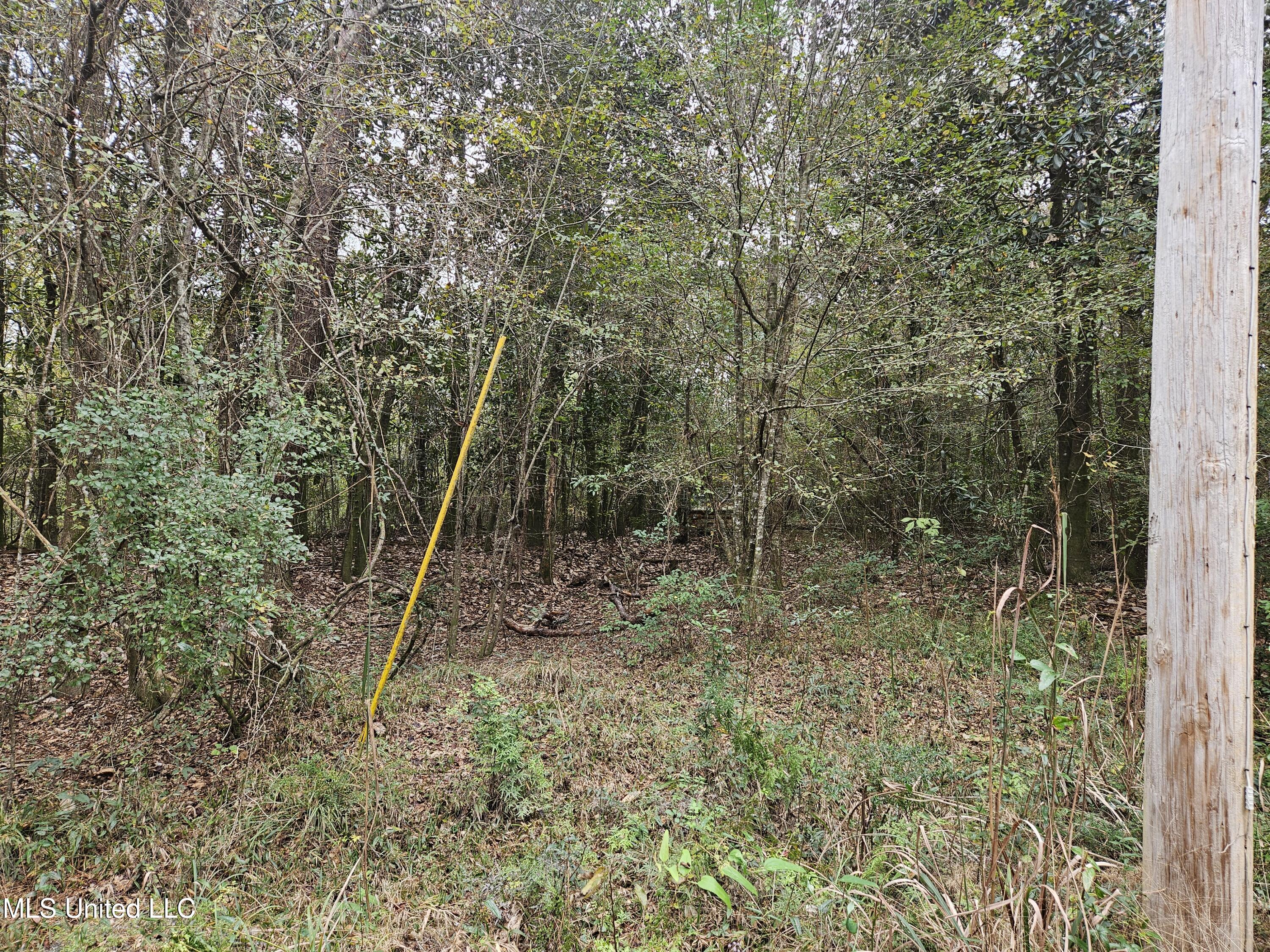0 River Road Biloxi, MS 39532 - Photo 10 of 10 20241127_113048