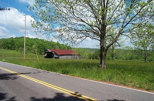 Primary Photo