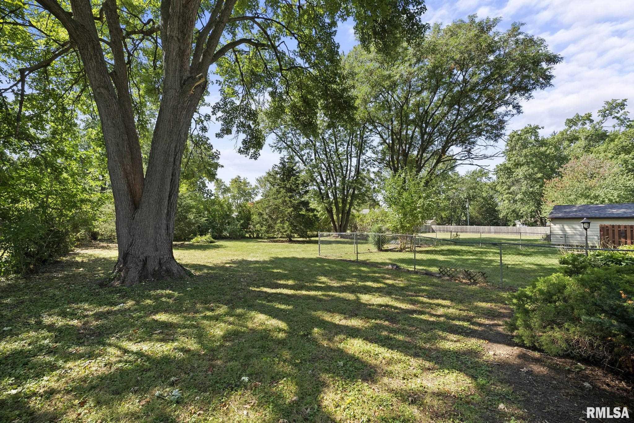 4724 27th Avenue Moline, IL 61265 - Photo 22 of 24