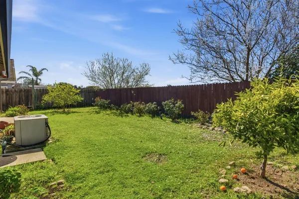 a view of a backyard