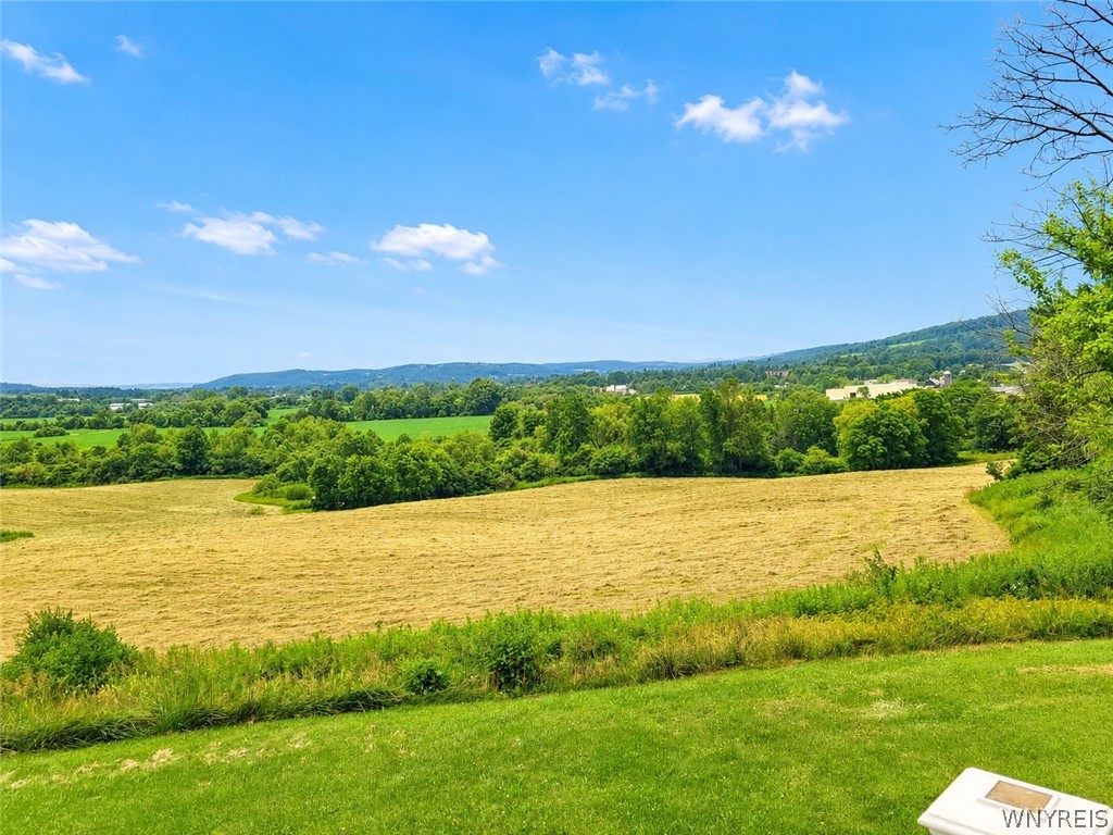 441 Blanding Road Sherburne, NY 13460 - Photo 4 of 24