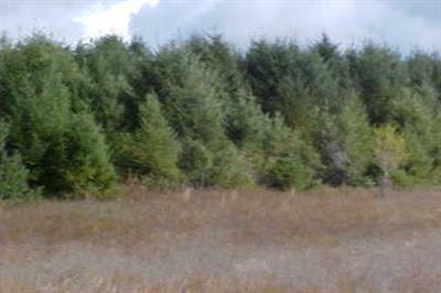 Grow Road Northwest, Unit PAR B Stanton, MI 48888 - Photo 1 of 1 Primary Photo