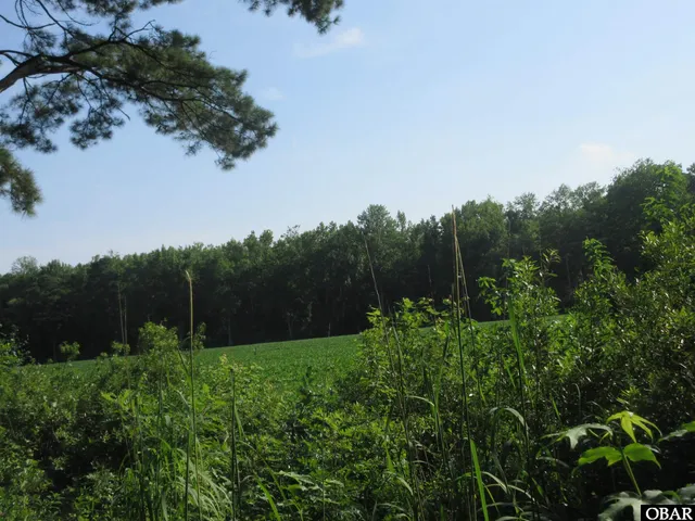 $225,000 | 182 Will Poyner Lane, Barco, NC 27917