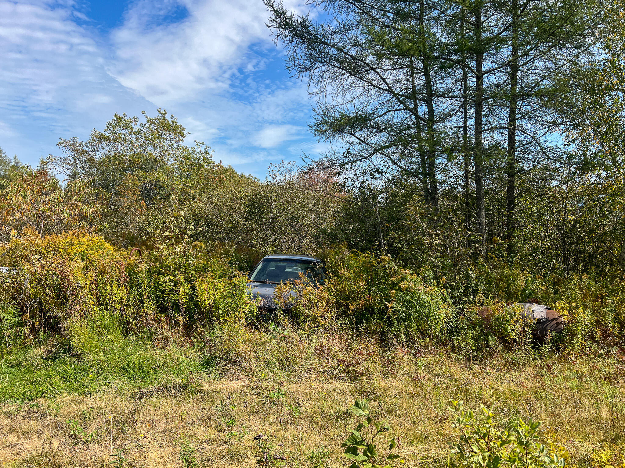 1503 Main Street Harrington, ME 04643 - Photo 12 of 15 12