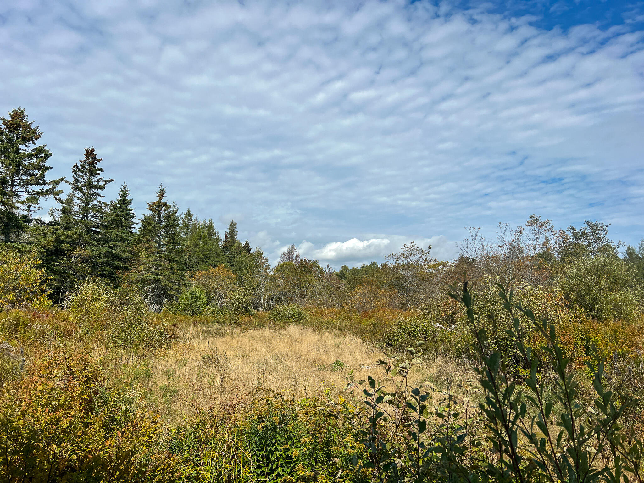 1503 Main Street Harrington, ME 04643 - Photo 13 of 15 13
