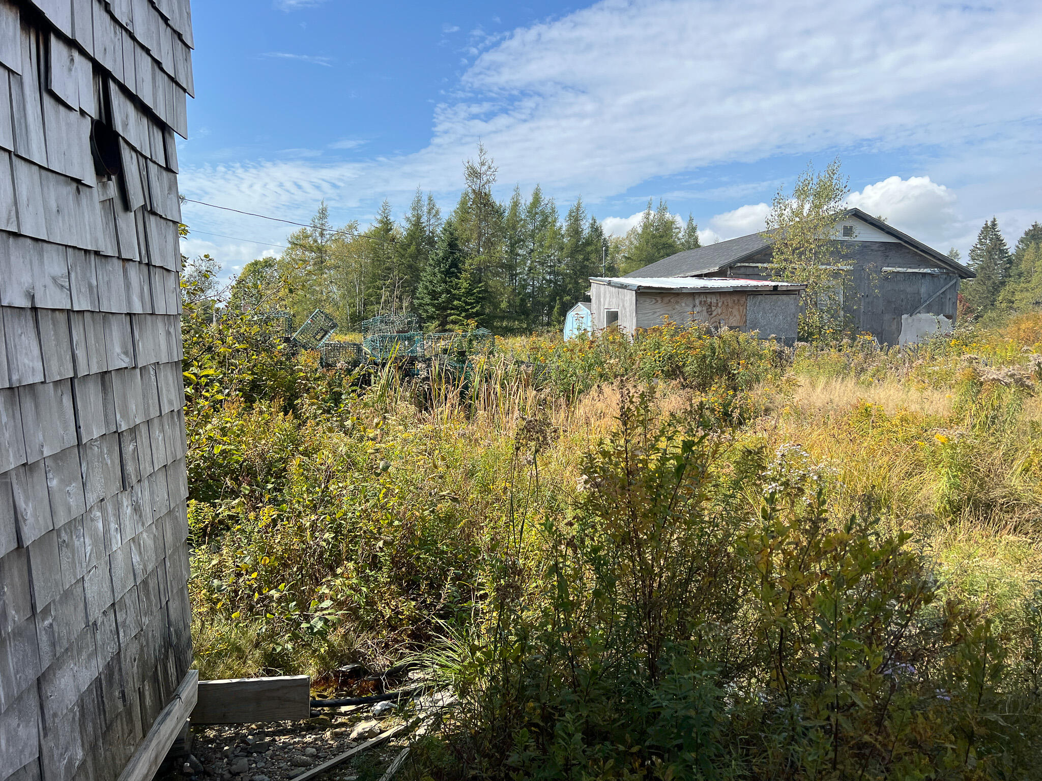 1503 Main Street Harrington, ME 04643 - Photo 10 of 15 10