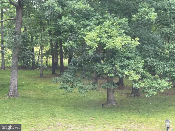 a view of a water pond with a lake view