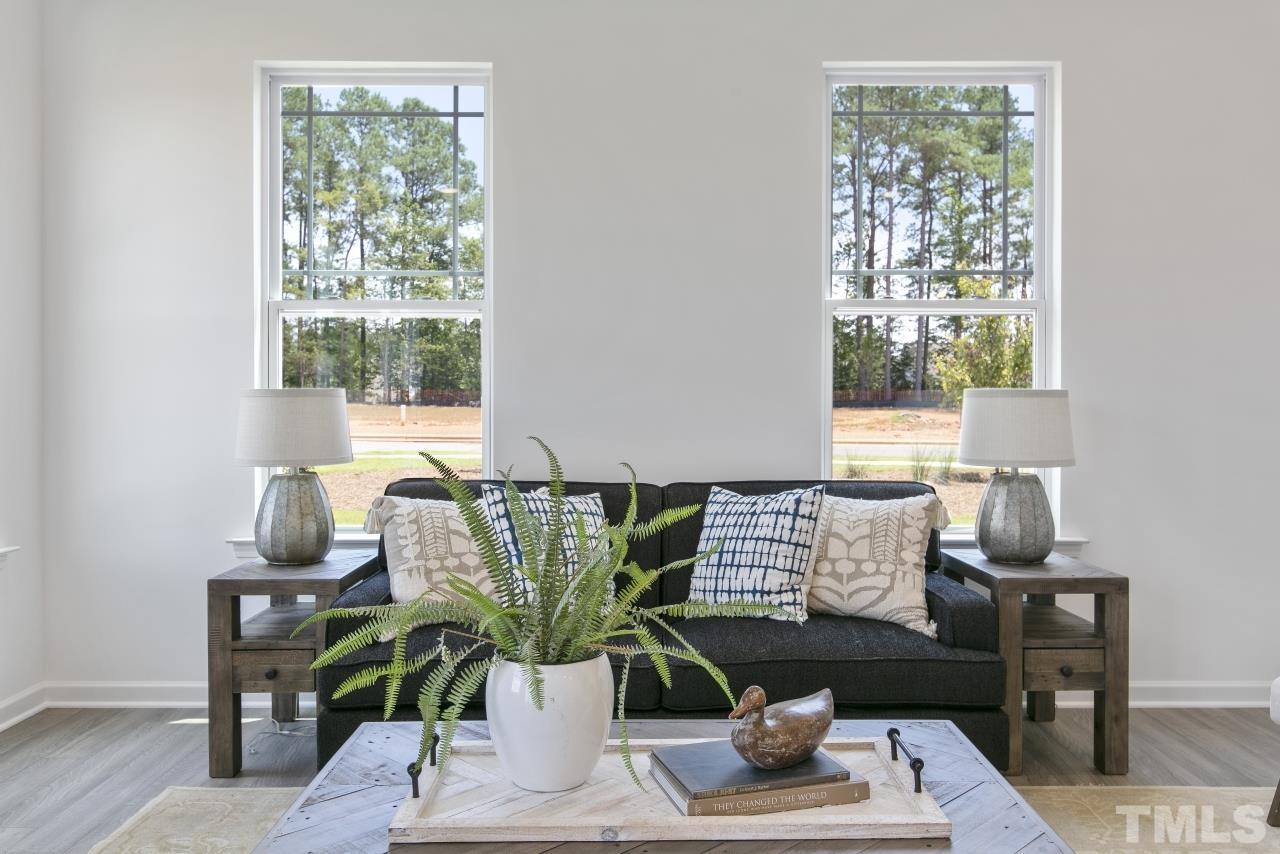 196 Lennei Lane Garner, NC 27529 - Photo 14 of 46 a living room with furniture and a potted plant