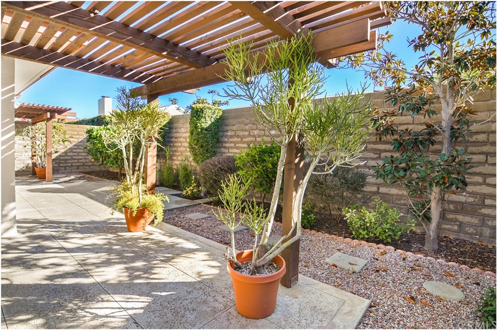 23892 Danzig Bay Dana Point, CA 92629 - Photo 36 of 49 a view of a backyard with plants