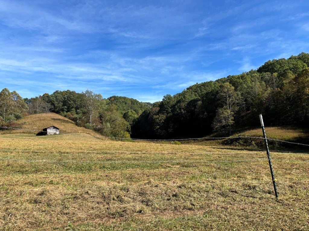 290 Dillon Creek Road Beckley, WV 25801 - Photo 6 of 88 Gallery Image 6