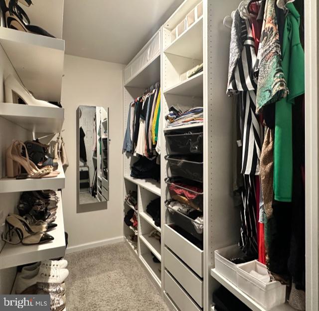 481 Rowan Street Warminster, PA 18974 - Photo 16 of 30 Primary Closet