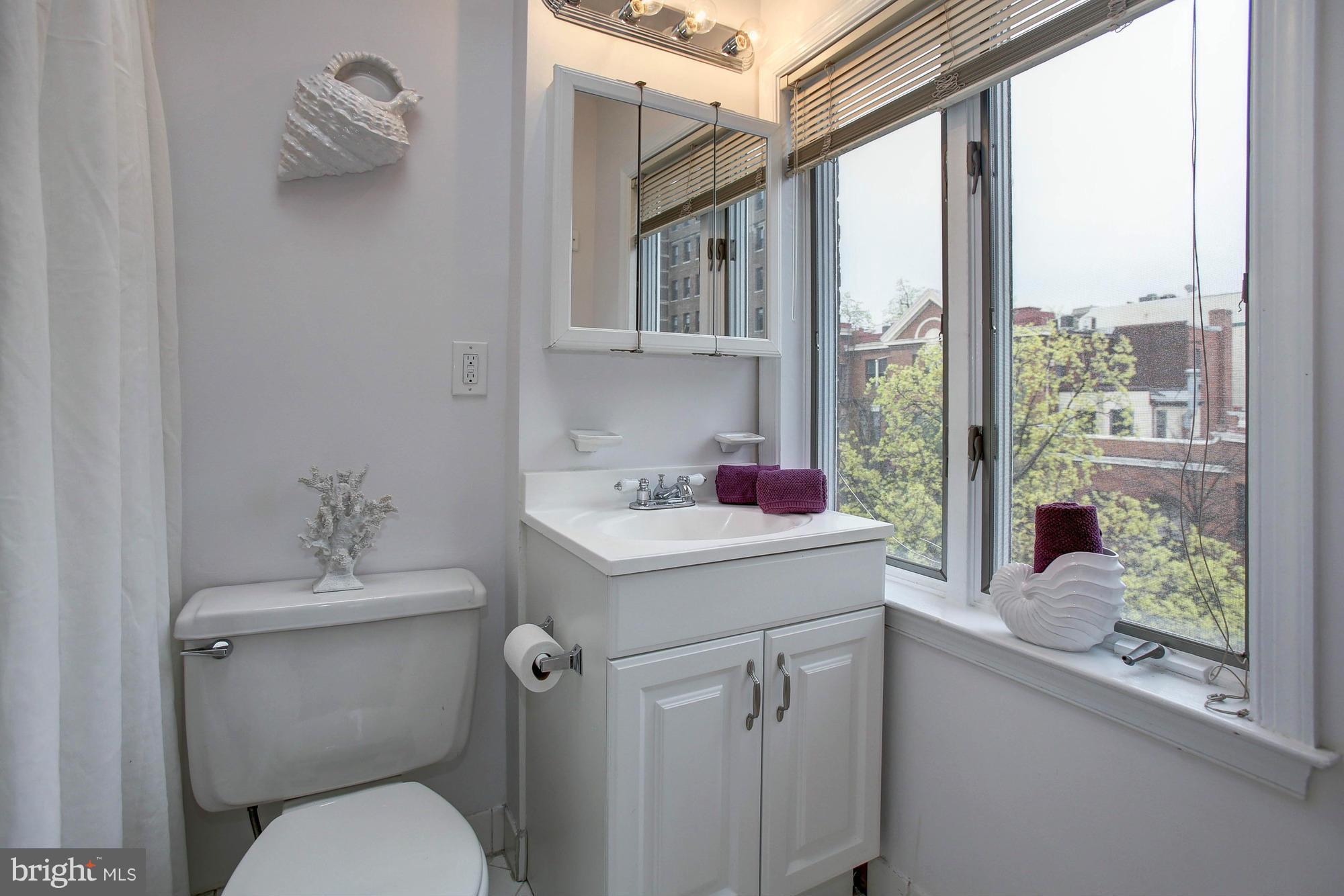 1607 T Street Northwest, Unit A Washington, DC 20009 - Photo 22 of 30 Bath (Master)