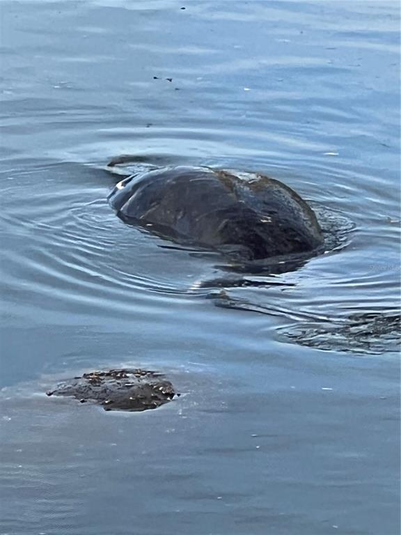 418 Cerromar Court, Unit 261 Venice, FL 34293 - Photo 58 of 76