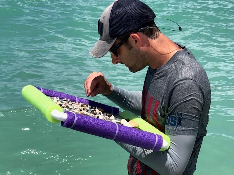 418 Cerromar Court, Unit 261 Venice, FL 34293 - Photo 76 of 76 a backyard of a house with seating space