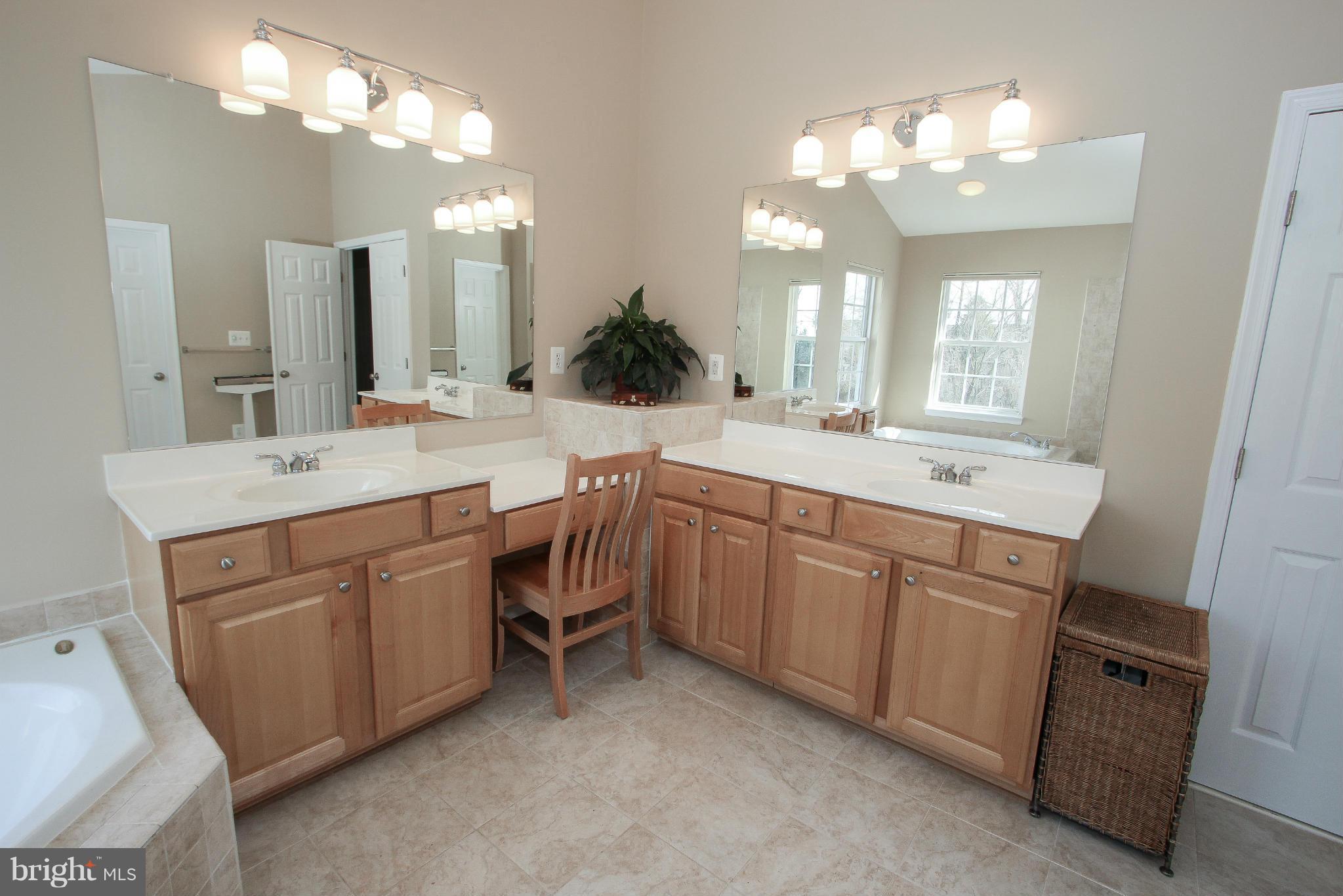 25857 Spring Farm Circle Chantilly, VA 20152 - Photo 17 of 30 Bath (Master)