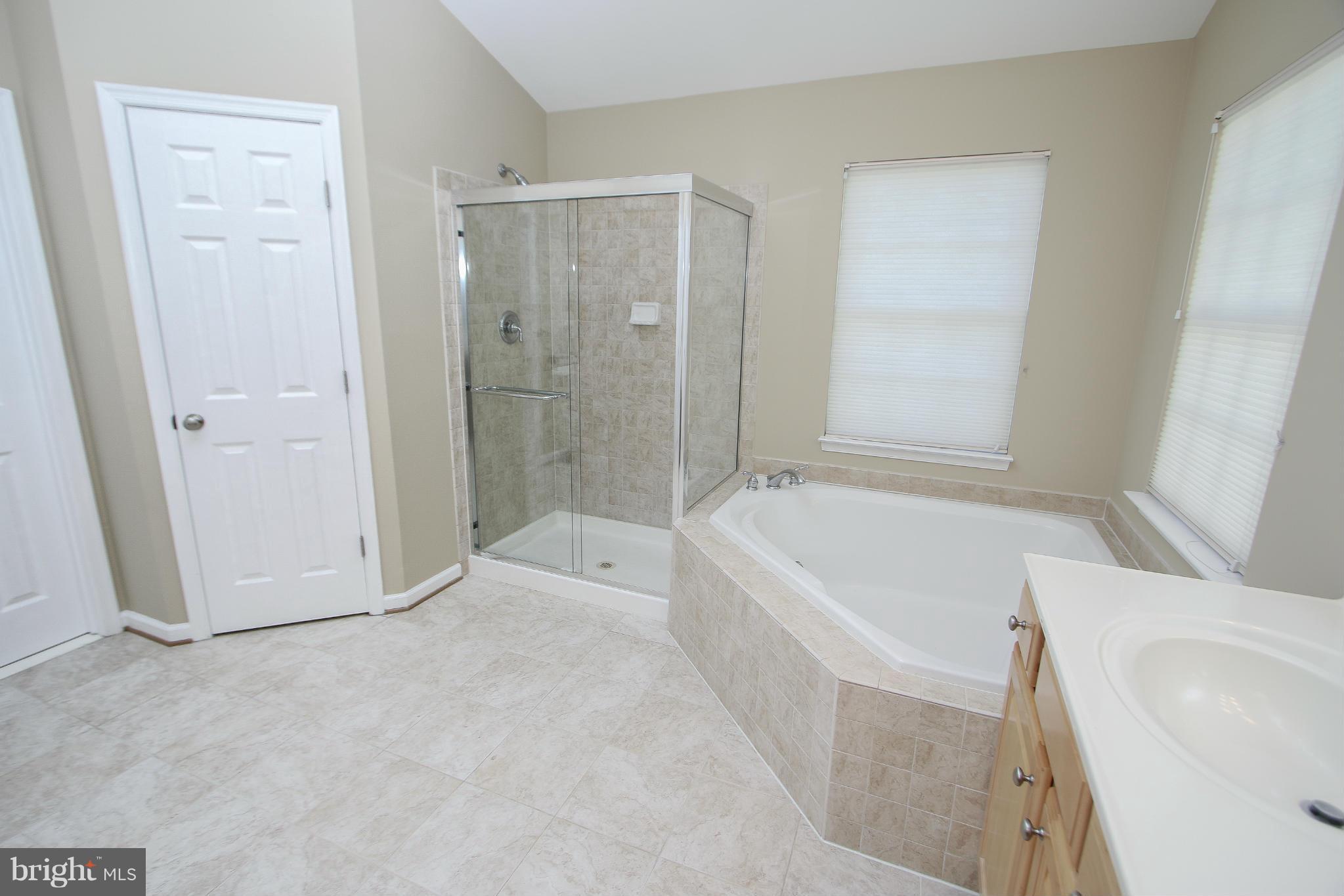 25857 Spring Farm Circle Chantilly, VA 20152 - Photo 18 of 30 Bath (Master)