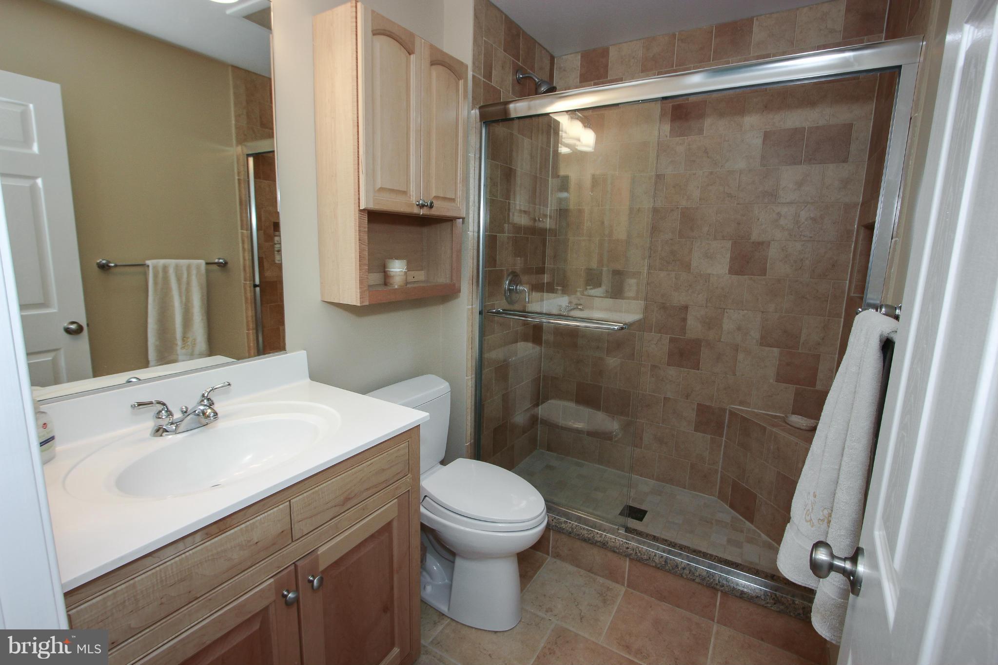 25857 Spring Farm Circle Chantilly, VA 20152 - Photo 20 of 30 Princess Suite Bath