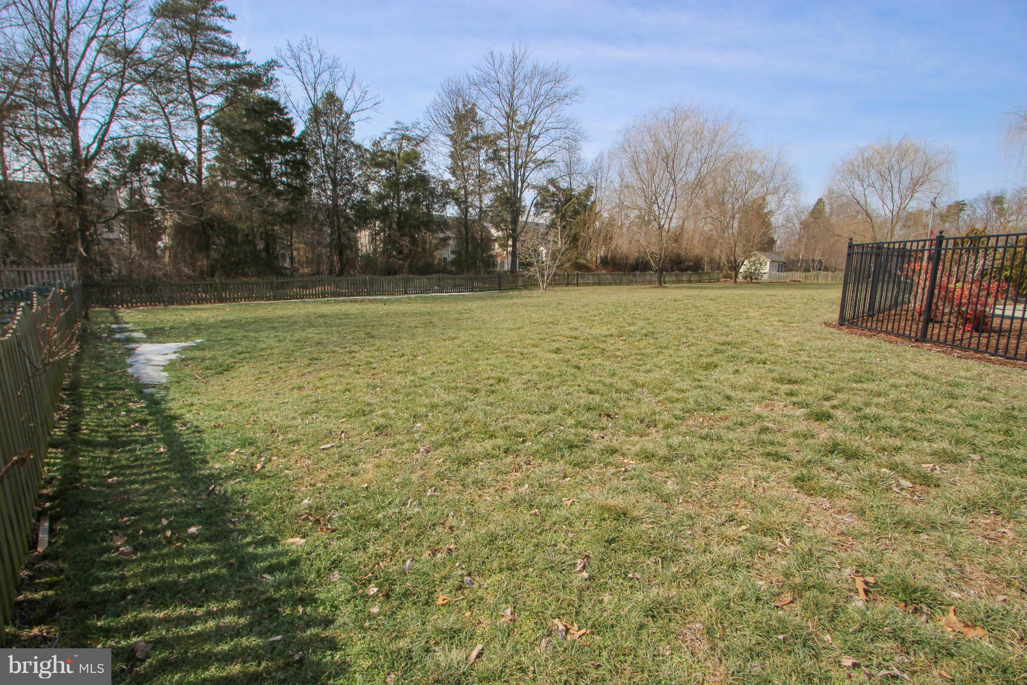 Backyard