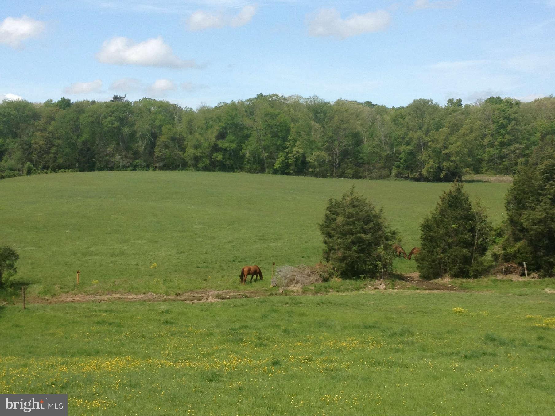 3102 Catlett Road Catlett, VA 20119 - Photo 11 of 30 View