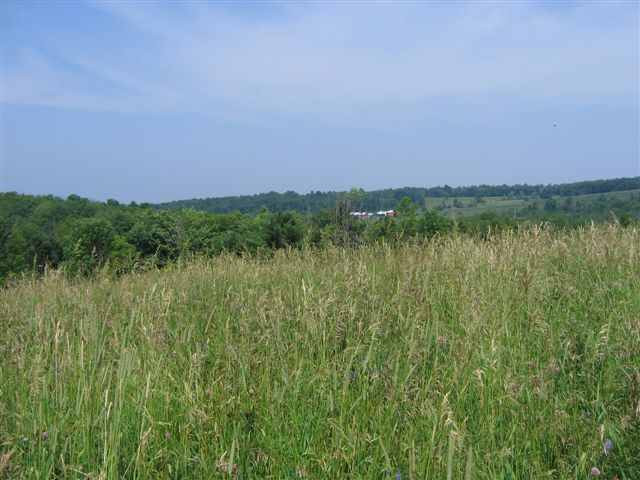 2 Turner Road Berne, NY 12023 - Photo 3 of 4 Photo 3