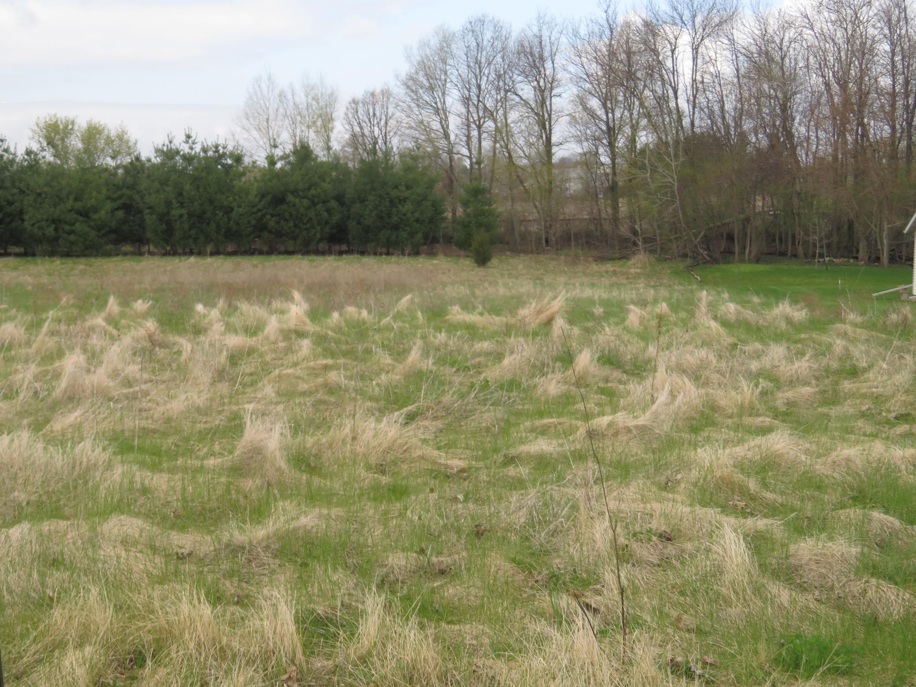 Lot 26 Hunter Lane